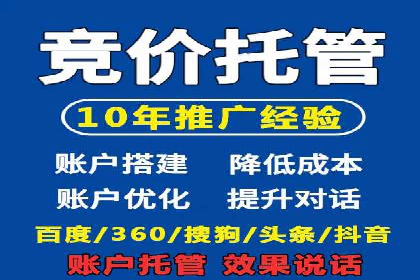 竞价排名案例：跨平台推广效果分析